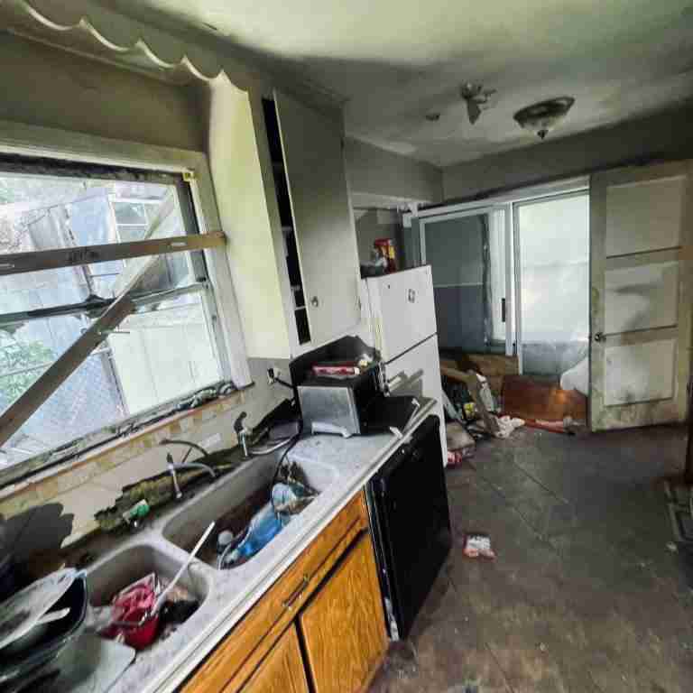 20506 Cardoni (53).jpg